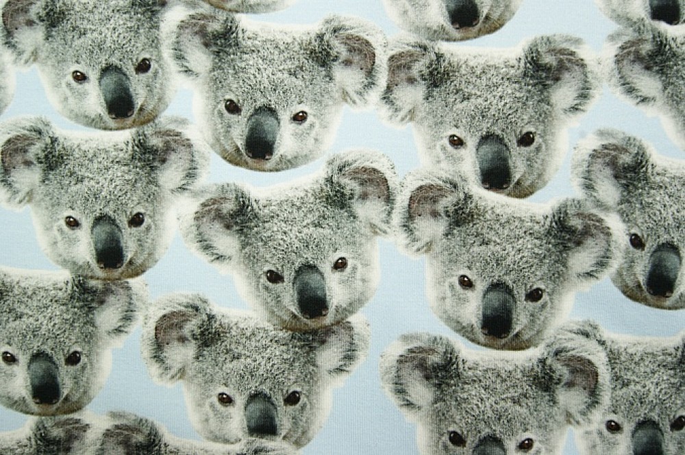 Digitale fotoprint tricot koalabeertjes